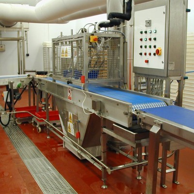 Stainless Steel Pizza Packing Line with CO2 Snow Station